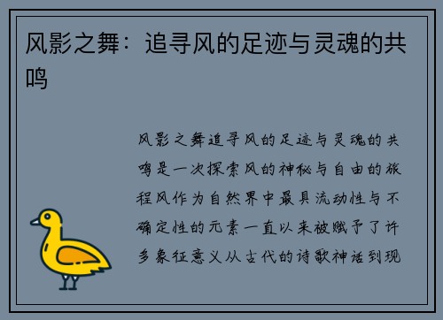 风影之舞：追寻风的足迹与灵魂的共鸣